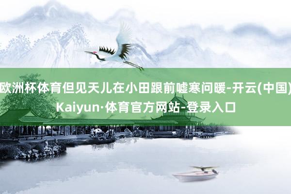 欧洲杯体育但见天儿在小田跟前嘘寒问暖-开云(中国)Kaiyun·体育官方网站-登录入口