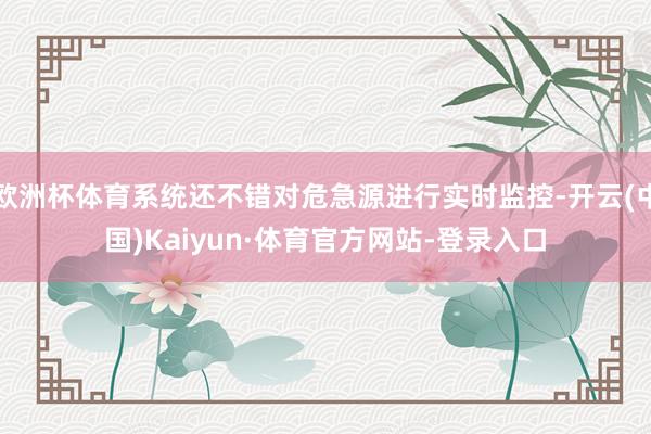 欧洲杯体育系统还不错对危急源进行实时监控-开云(中国)Kaiyun·体育官方网站-登录入口